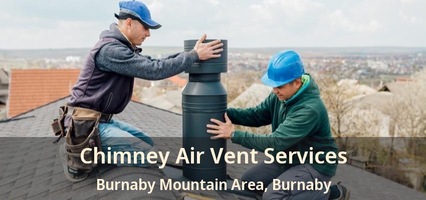 Chimney Air Vent Services Burnaby Mountain Area, Burnaby - BC