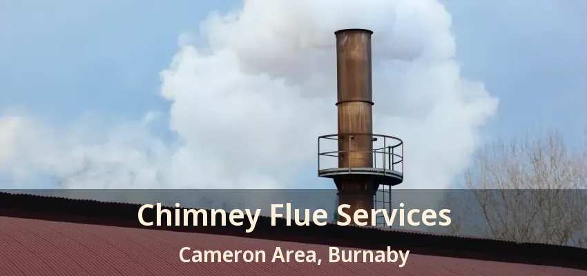 Chimney Flue Services Cameron Area, Burnaby - BC
