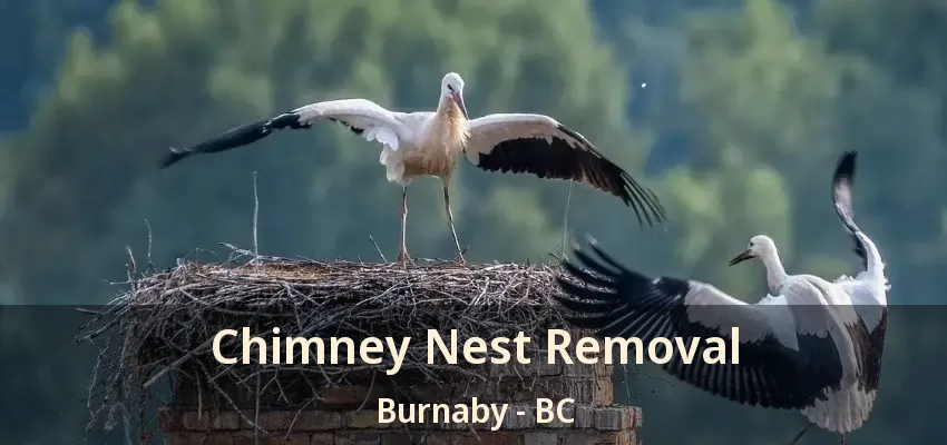 Chimney Nest Removal Burnaby - BC