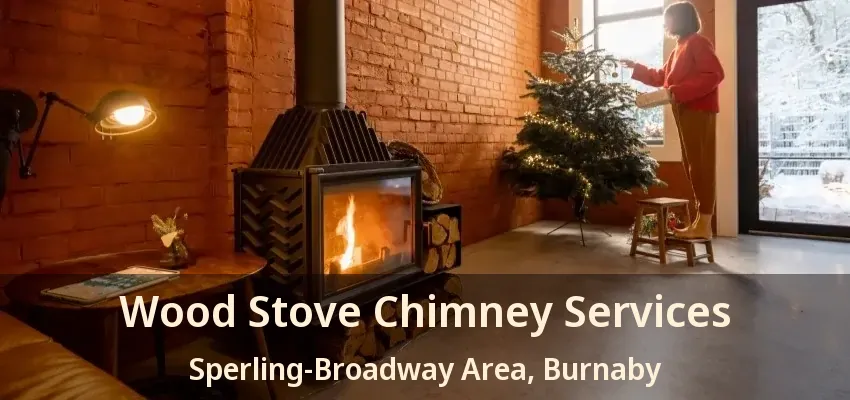 Wood Stove Chimney Services Sperling-Broadway Area, Burnaby - BC